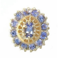 N364 14K RD/ TANZANITE SLIDE 